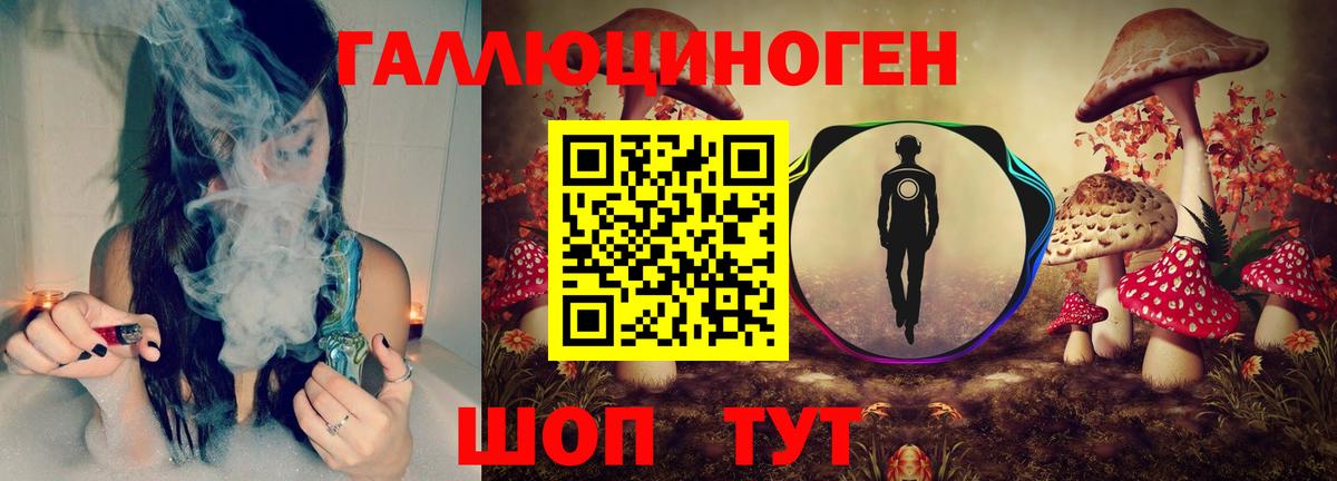 Псилоцибиновые грибы GOLDEN TEACHER  Вход с VPN  Нурлат 